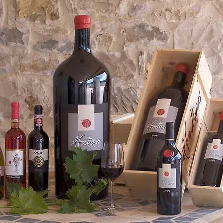 Szálloda Il Colombaio Di Cencio Gaiole in Chianti