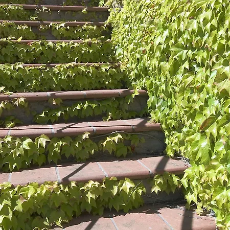 Il Colombaio Di Cencio Szálloda Gaiole in Chianti