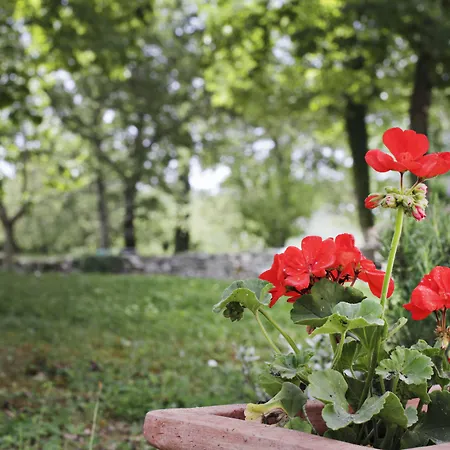 Il Colombaio Di Cencio Szálloda Gaiole in Chianti