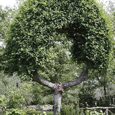 Il Colombaio Di Cencio Szálloda *